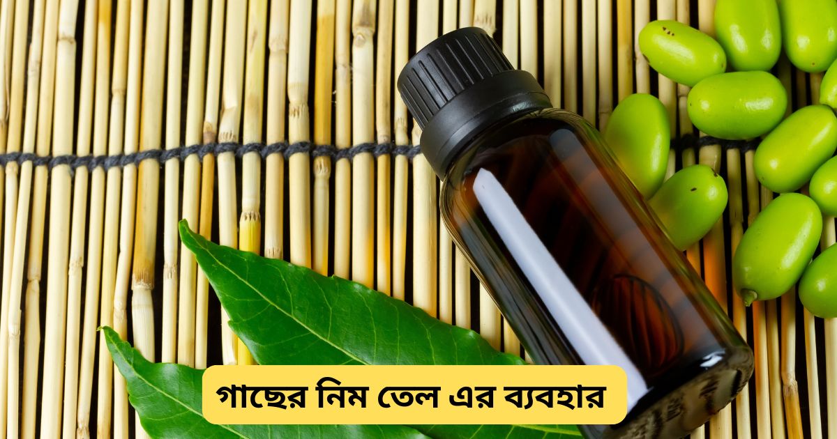 গাছে নিম তেল এর ব্যবহার , নিম তেল , প্রাকৃতিক কিটনাশক